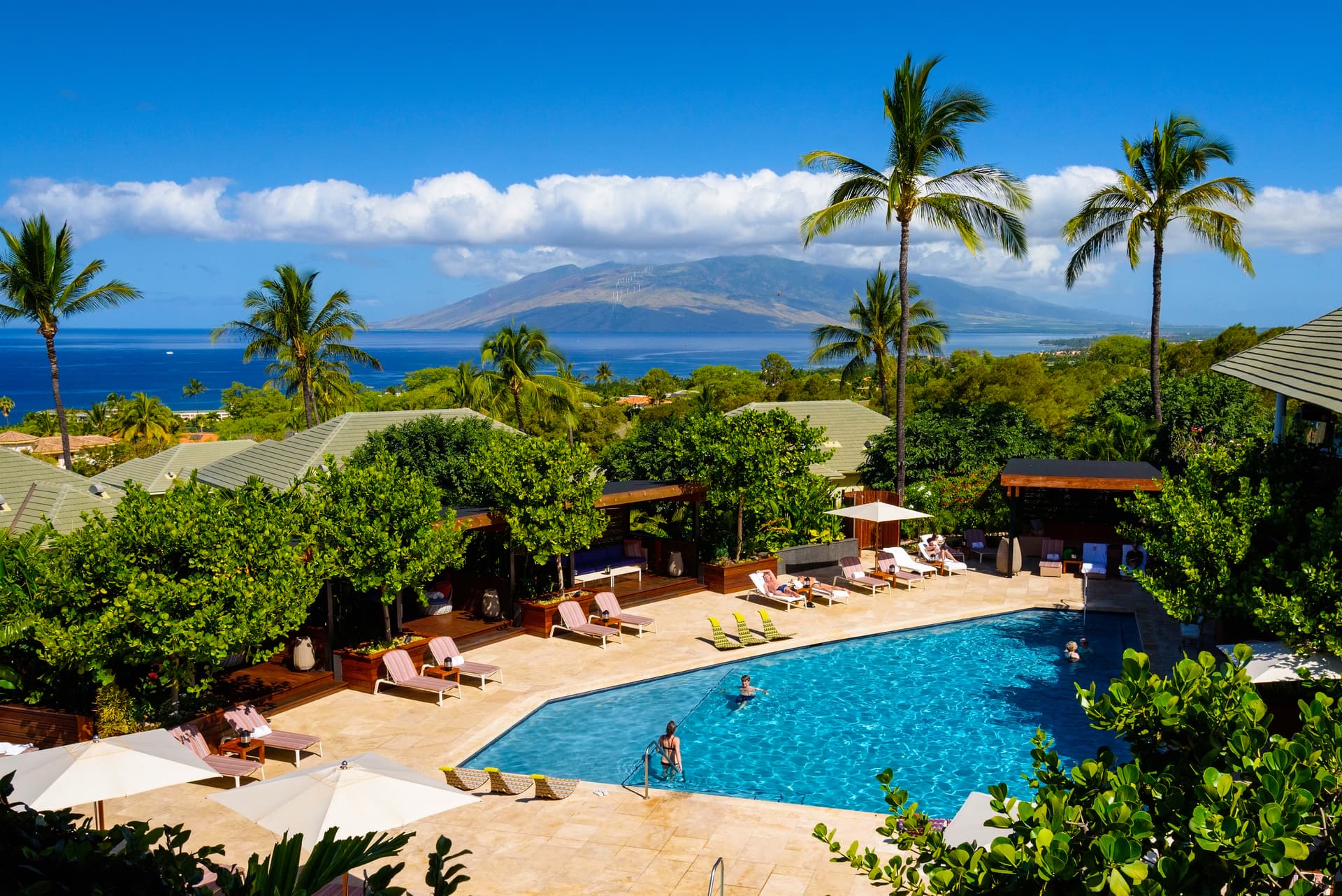 adult only resorts: hotel waileas pool.