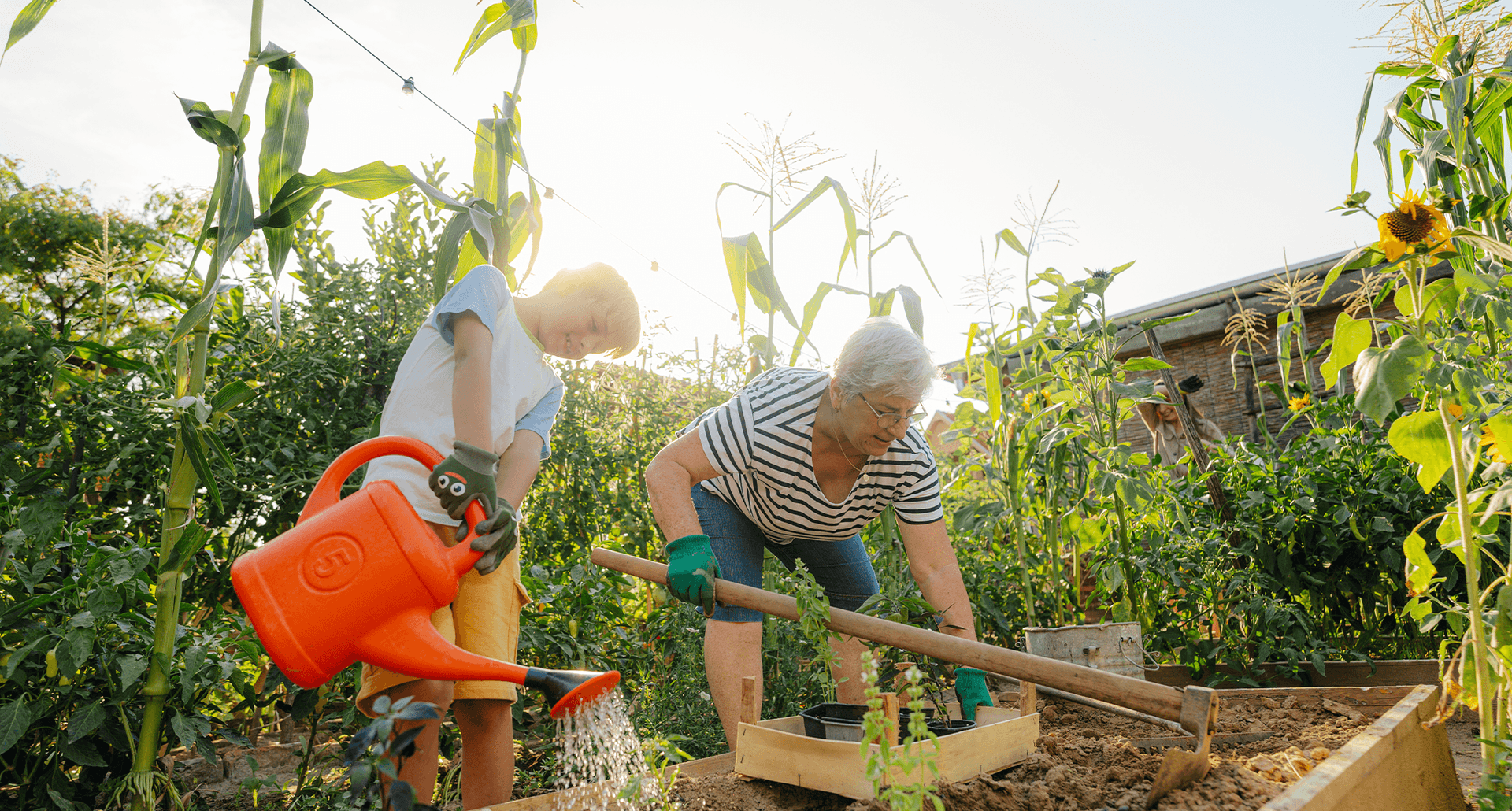 best-places-to-buy-plant-seeds-hero-image