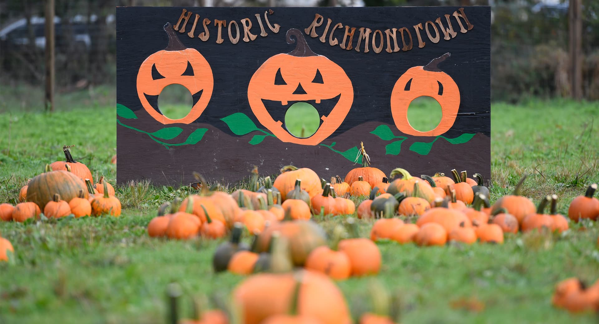 Halloween Events Near NYC pumpkins in a field