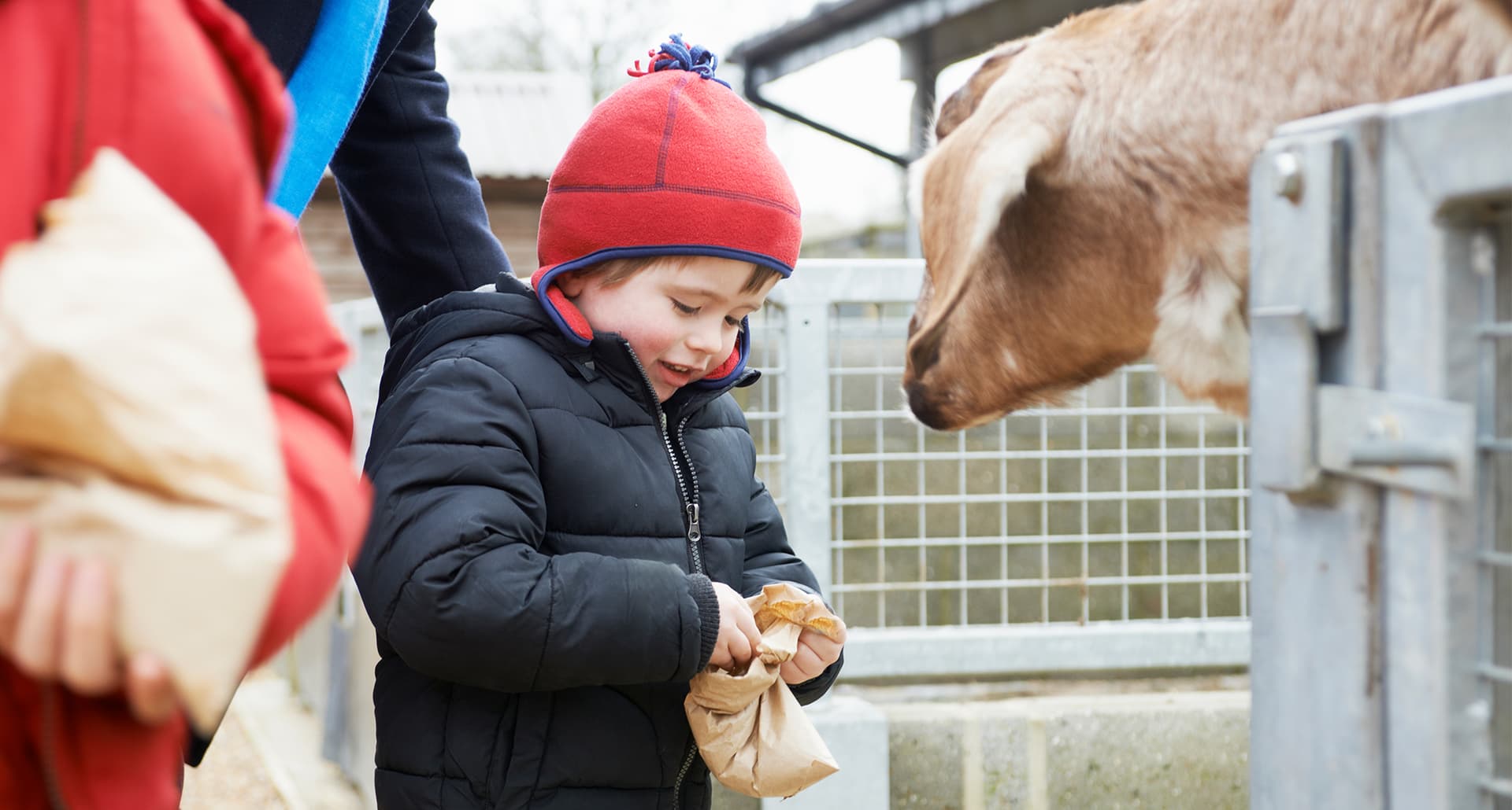 Kid-Friendly Things to Do in New Jersey: Young boy feeding goat at zoo