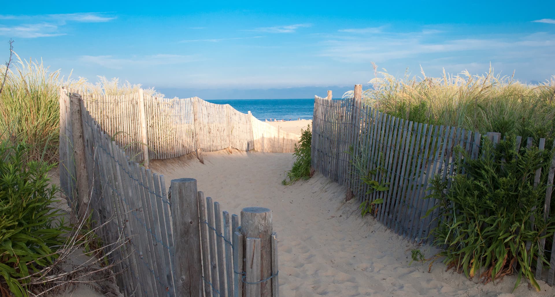 Best Beaches in Delaware - A photo of a pathway toward the ocean through the dunes.