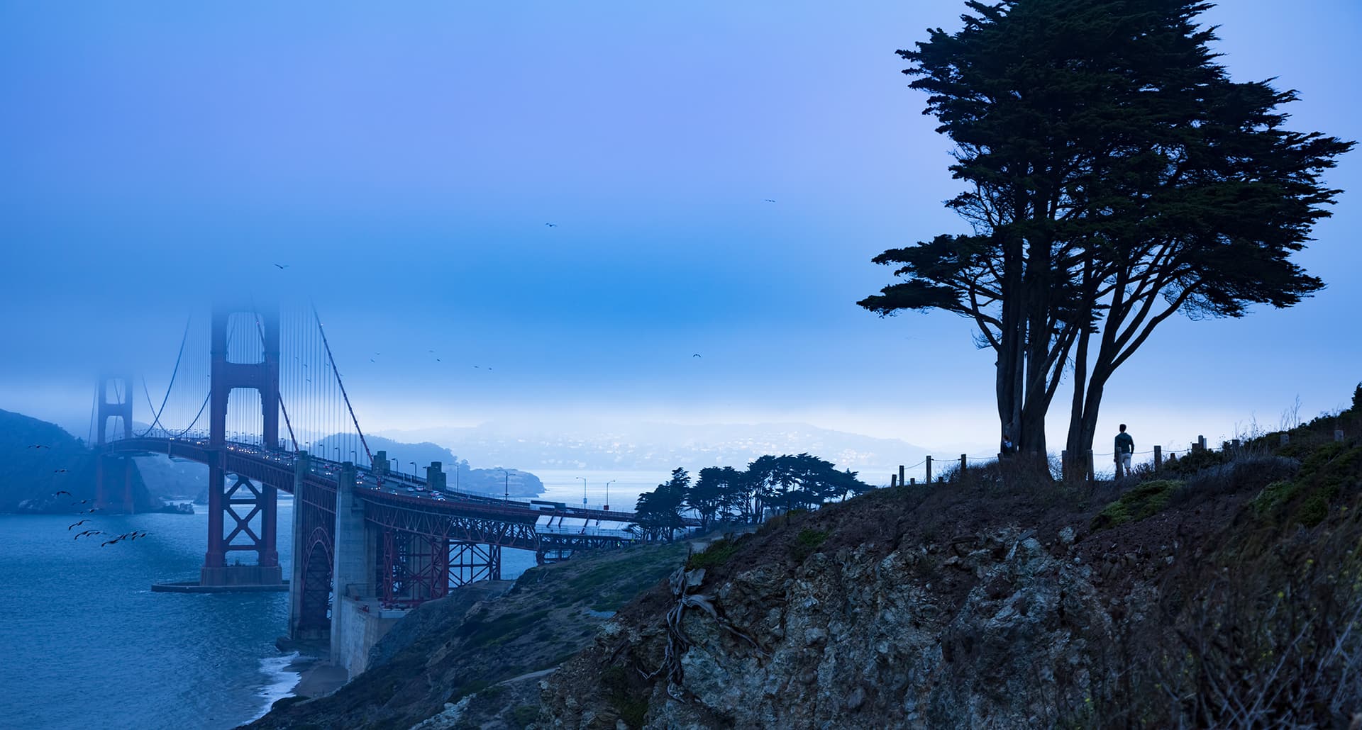 most-haunted-places-in-san-francisco: a man standing at a tree near the golden gate bridge.