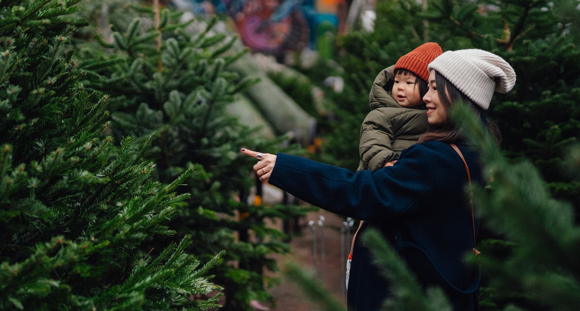 A mother and her toddler point at a live Christmas tree.