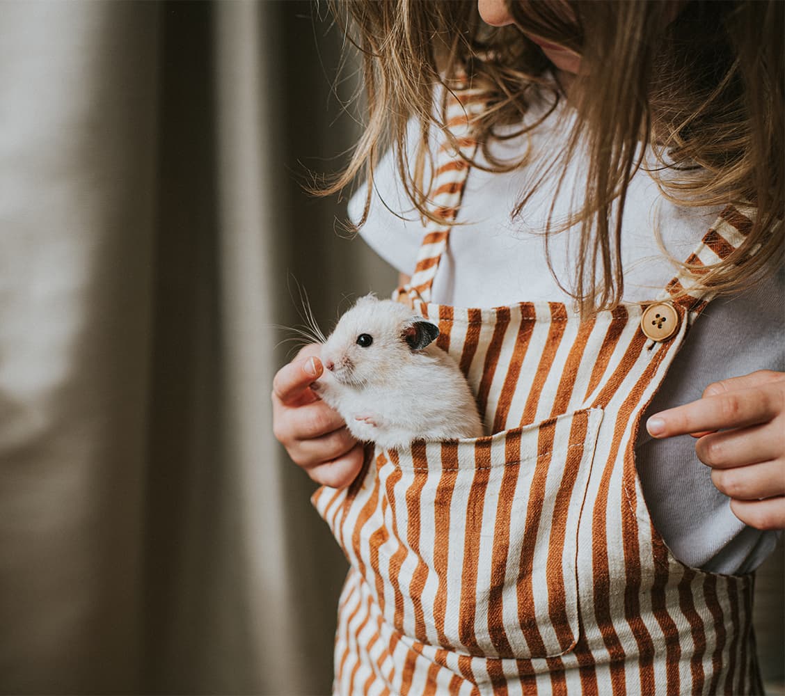 low maintenance pets