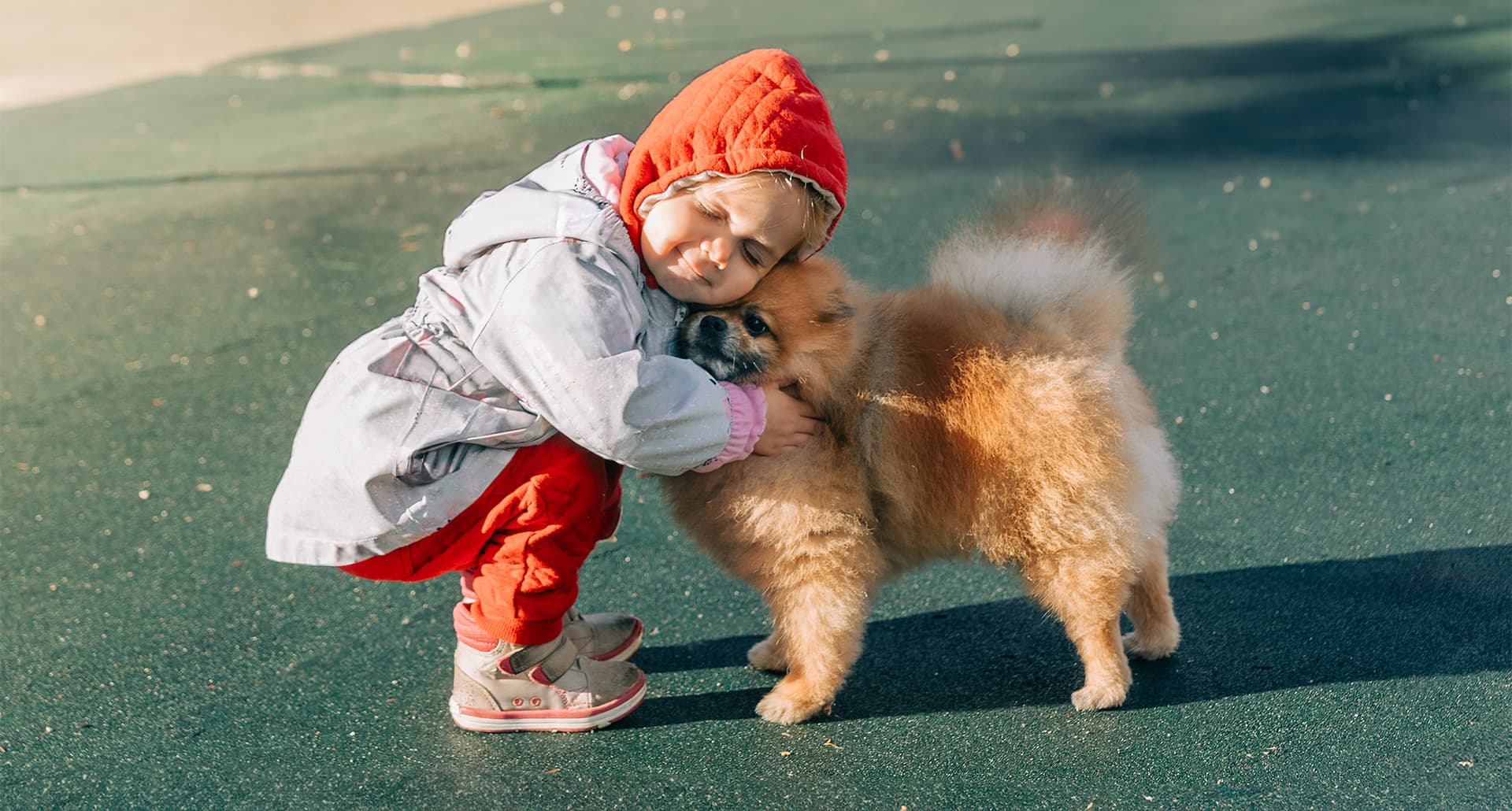 best-small-dogs-for-kids-and-families: a small girl holding a Pomeranian