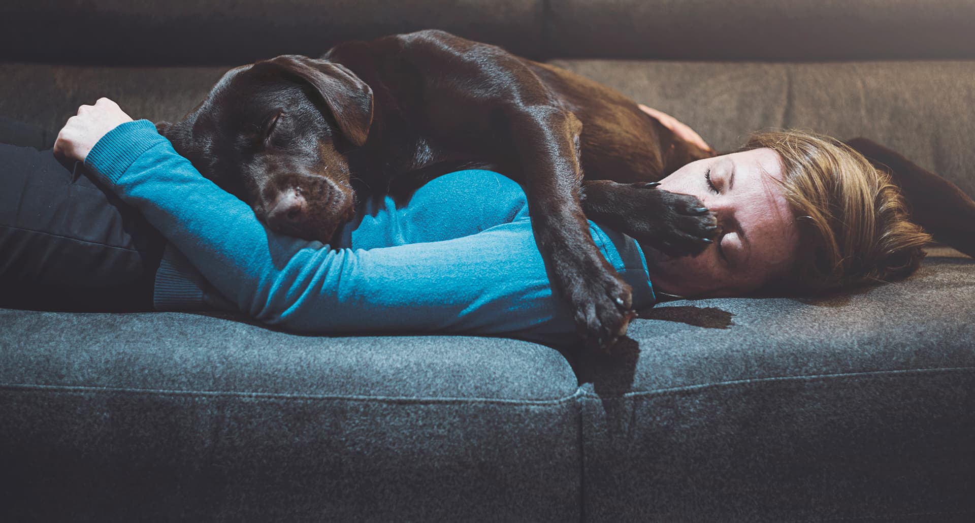 Dog cuddling with owner, signs dog loves you