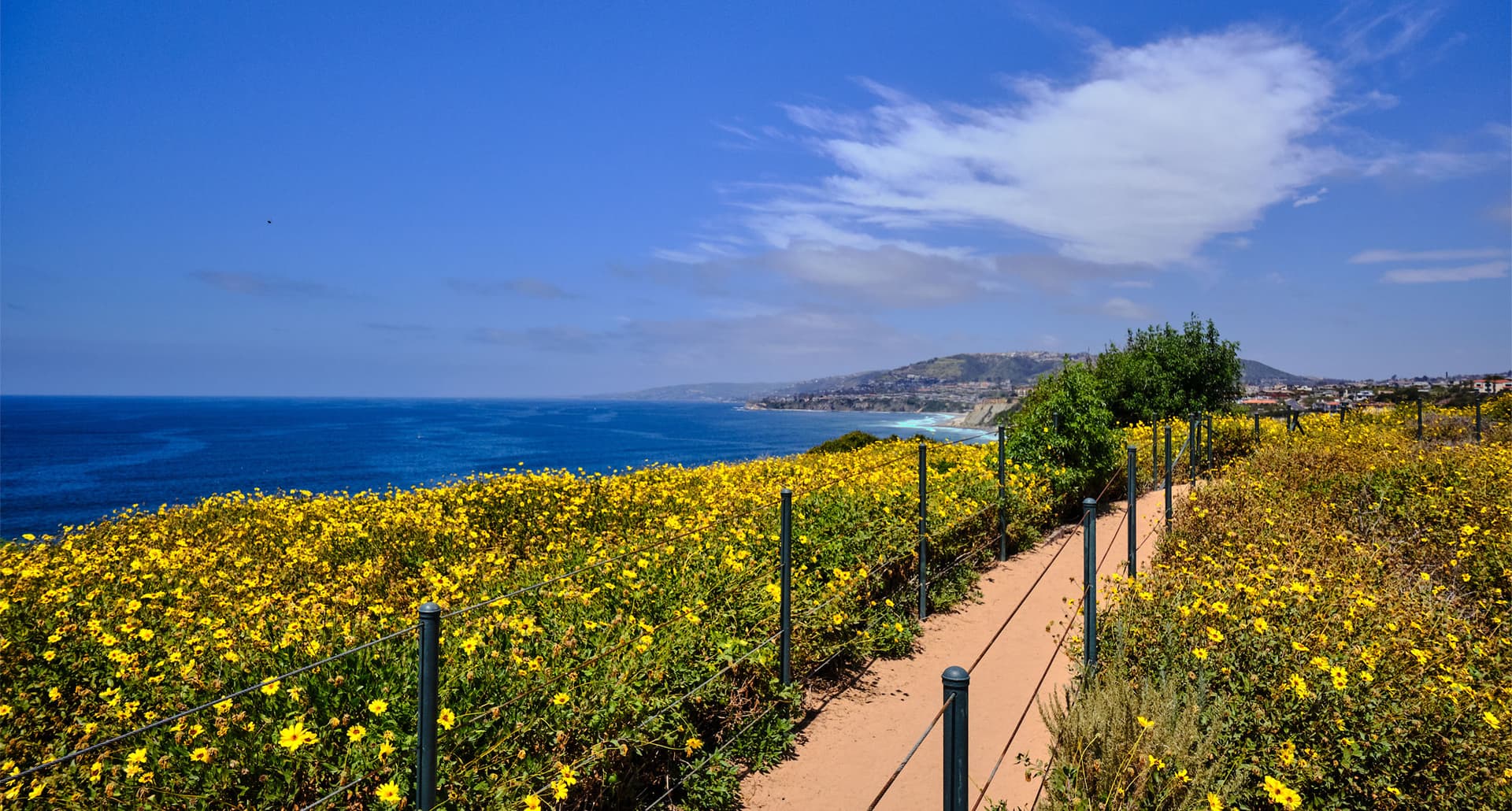 Dana Point - A brick path surrounded by lush green foliage extends into the distance. The ocean surrounds the path and foliage. The sky is bright blue with few clouds.
