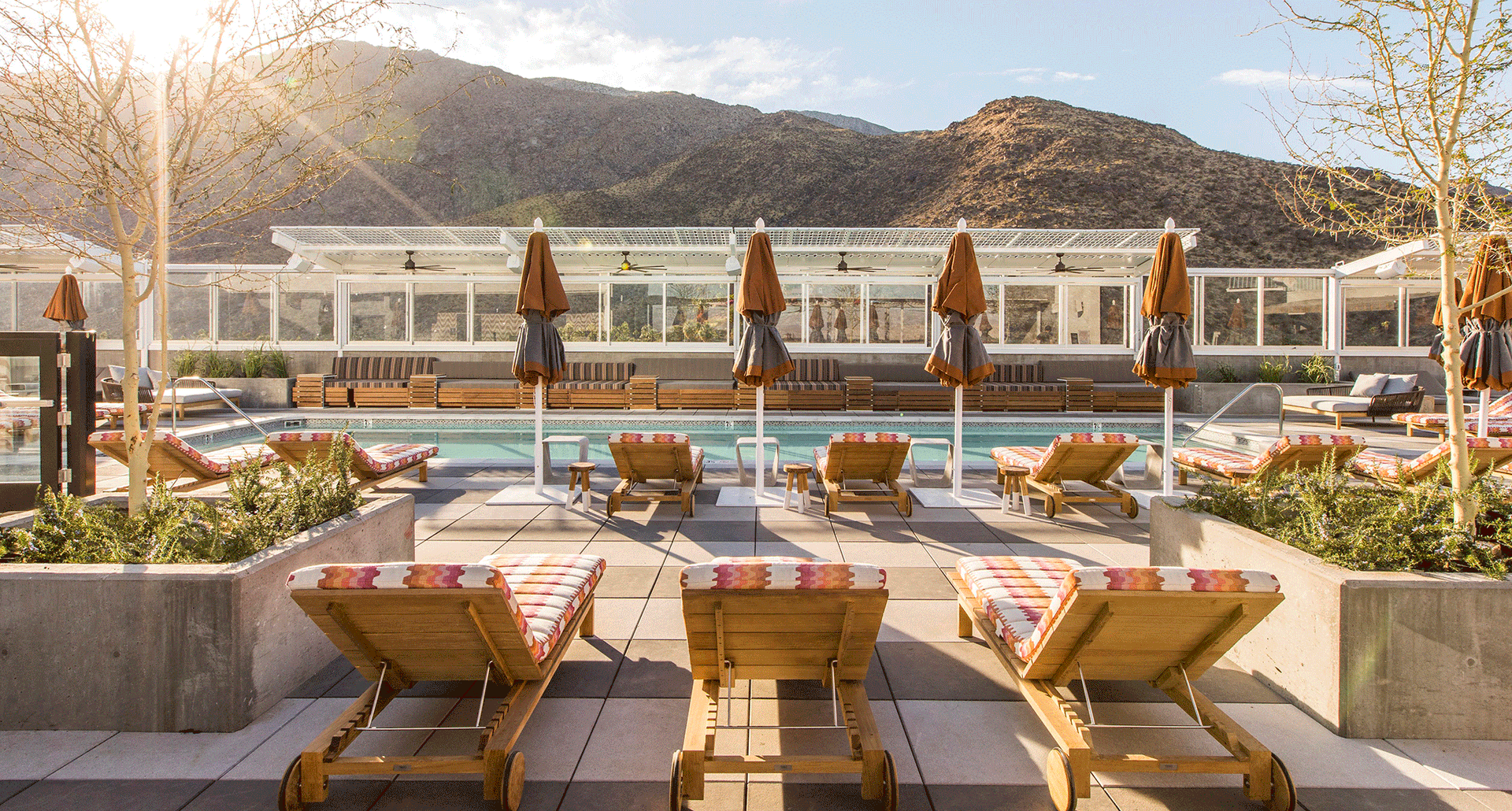 best-hotels-in-palm-springs-Rooftop-Pool_Kimpton_credit-Laure-Joliet