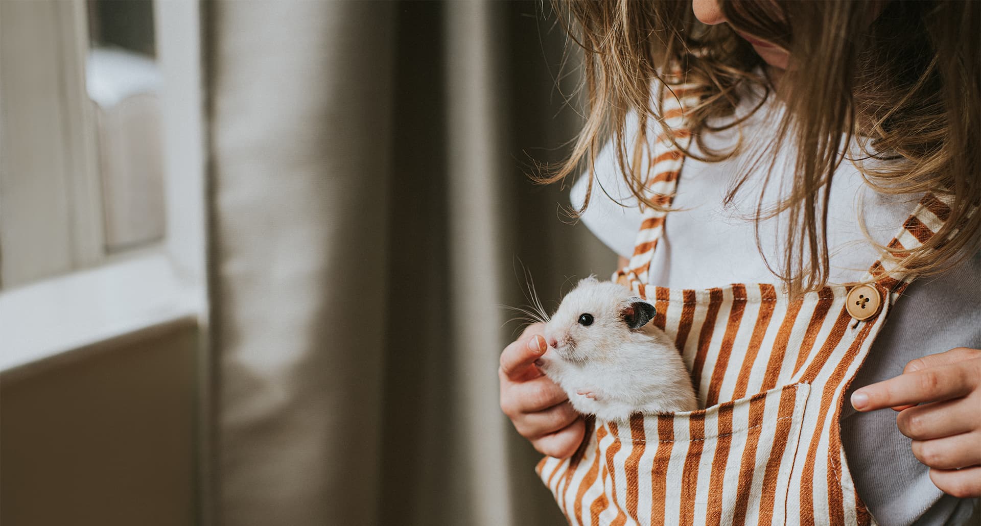 low maintenance pets