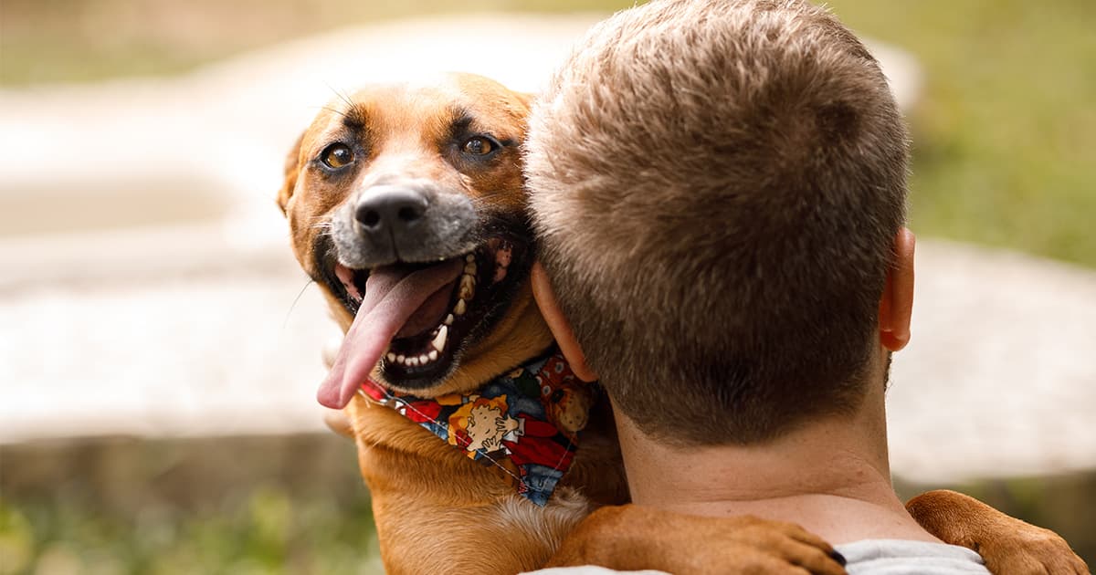 Everything you need to know about adopting a rescue dog