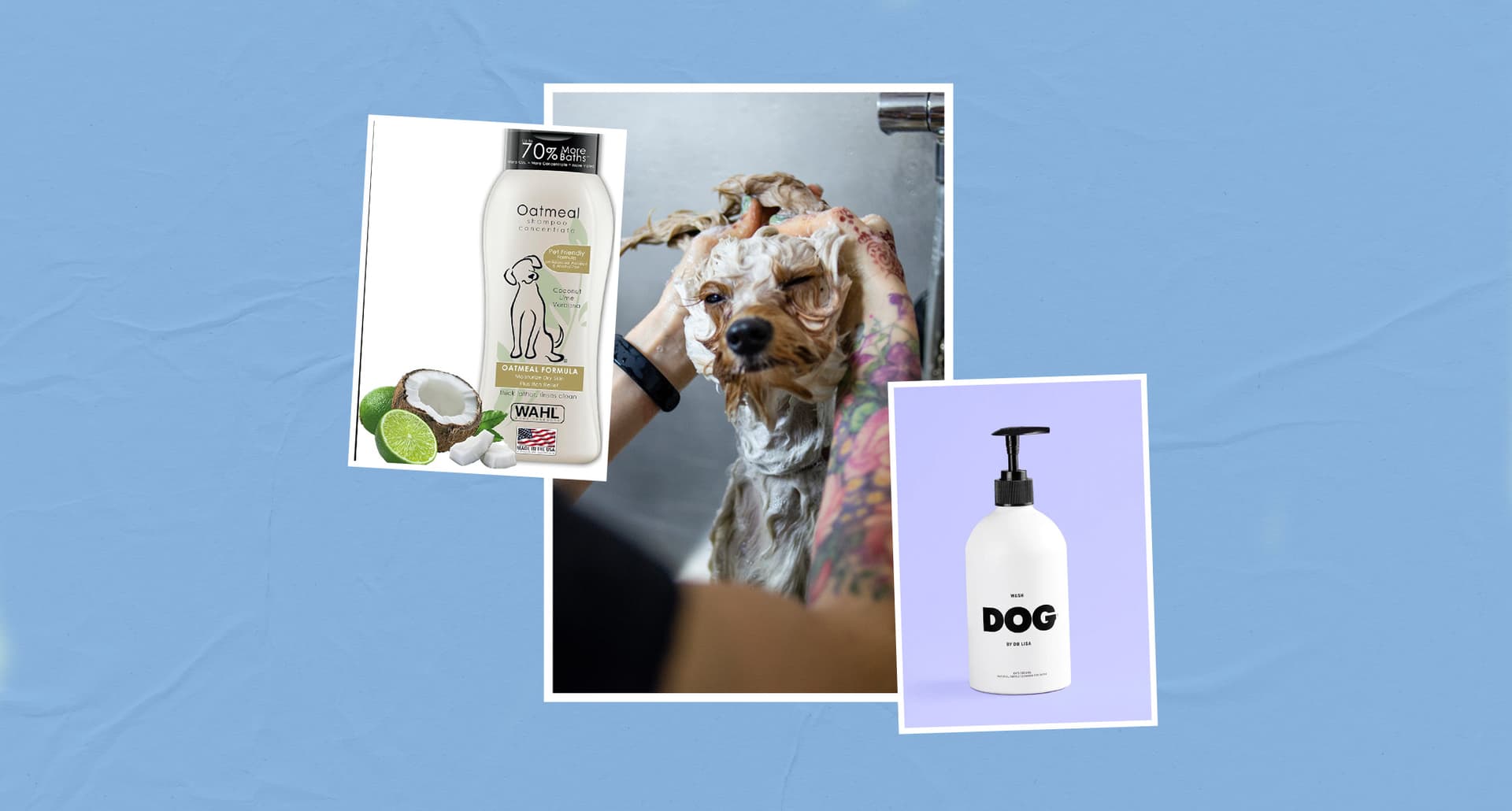 dog shampoos for dry skin: collage of products