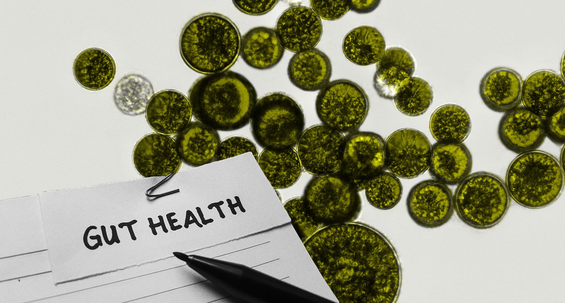 gut-health-symptoms-uni