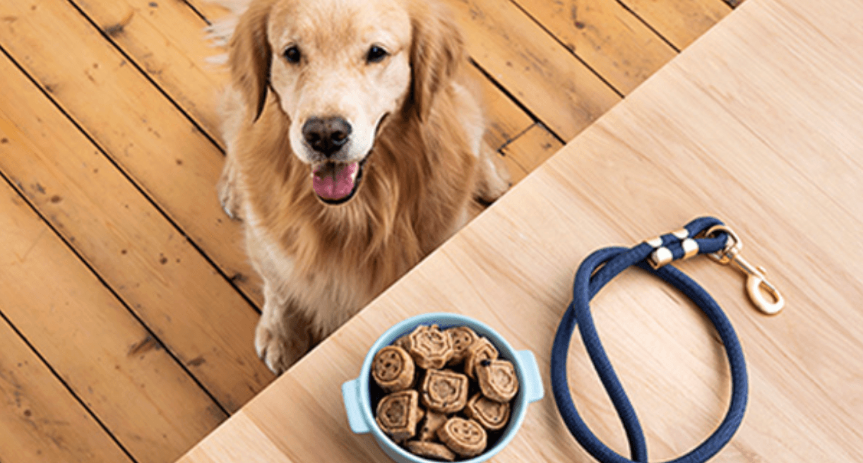 dog next to patch pals girl scout cookies for pets