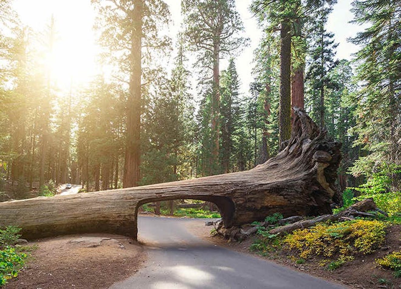 10 of the Best Camping Sites in California