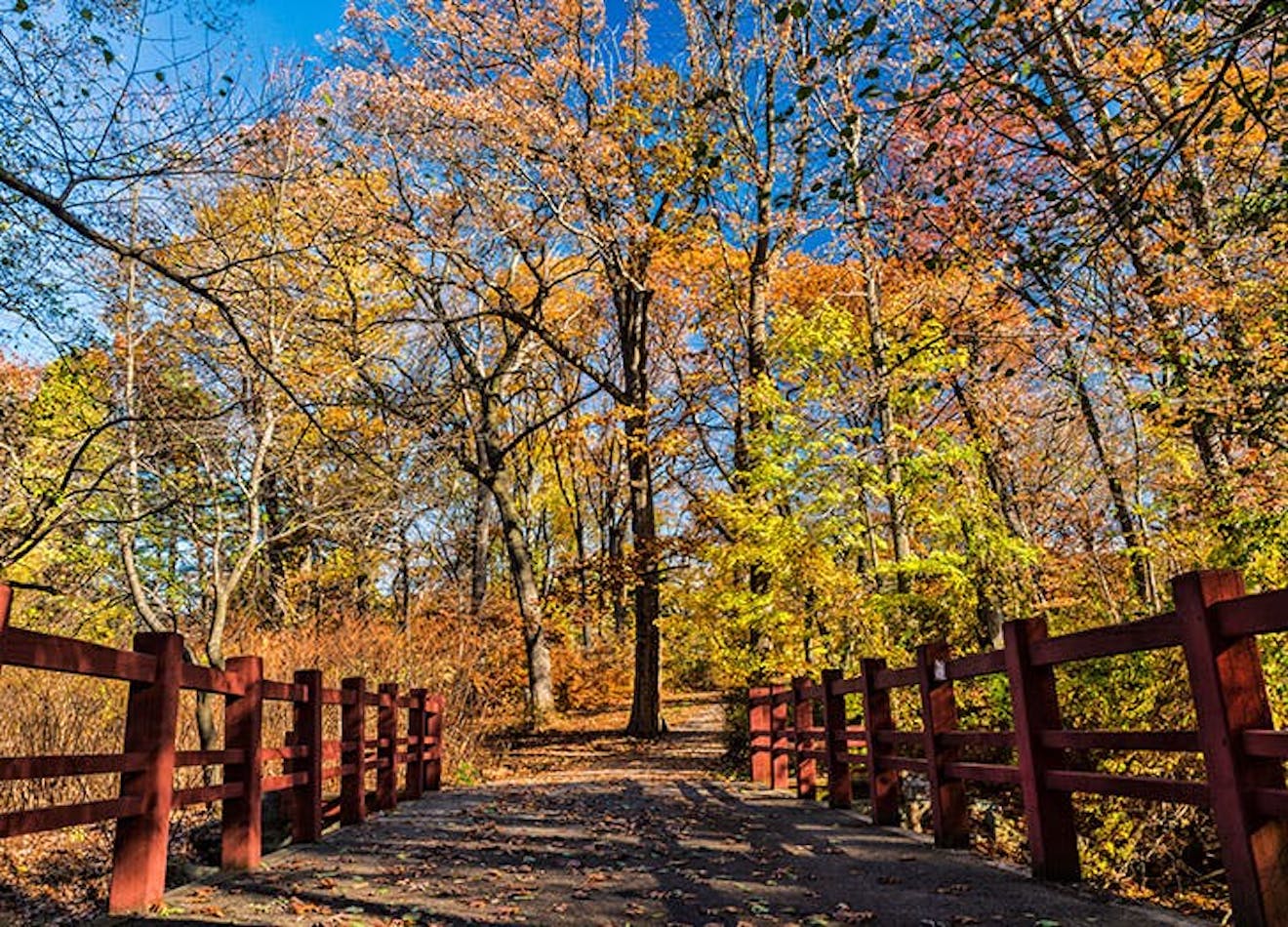 The 10 Best Picnic Spots in NYC