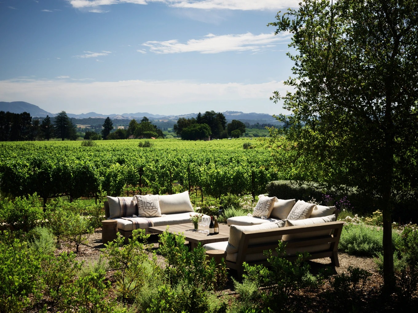 The 6 Best Wineries in California