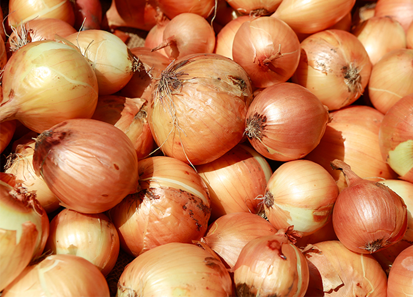 6 Vegetables That Last the Longest