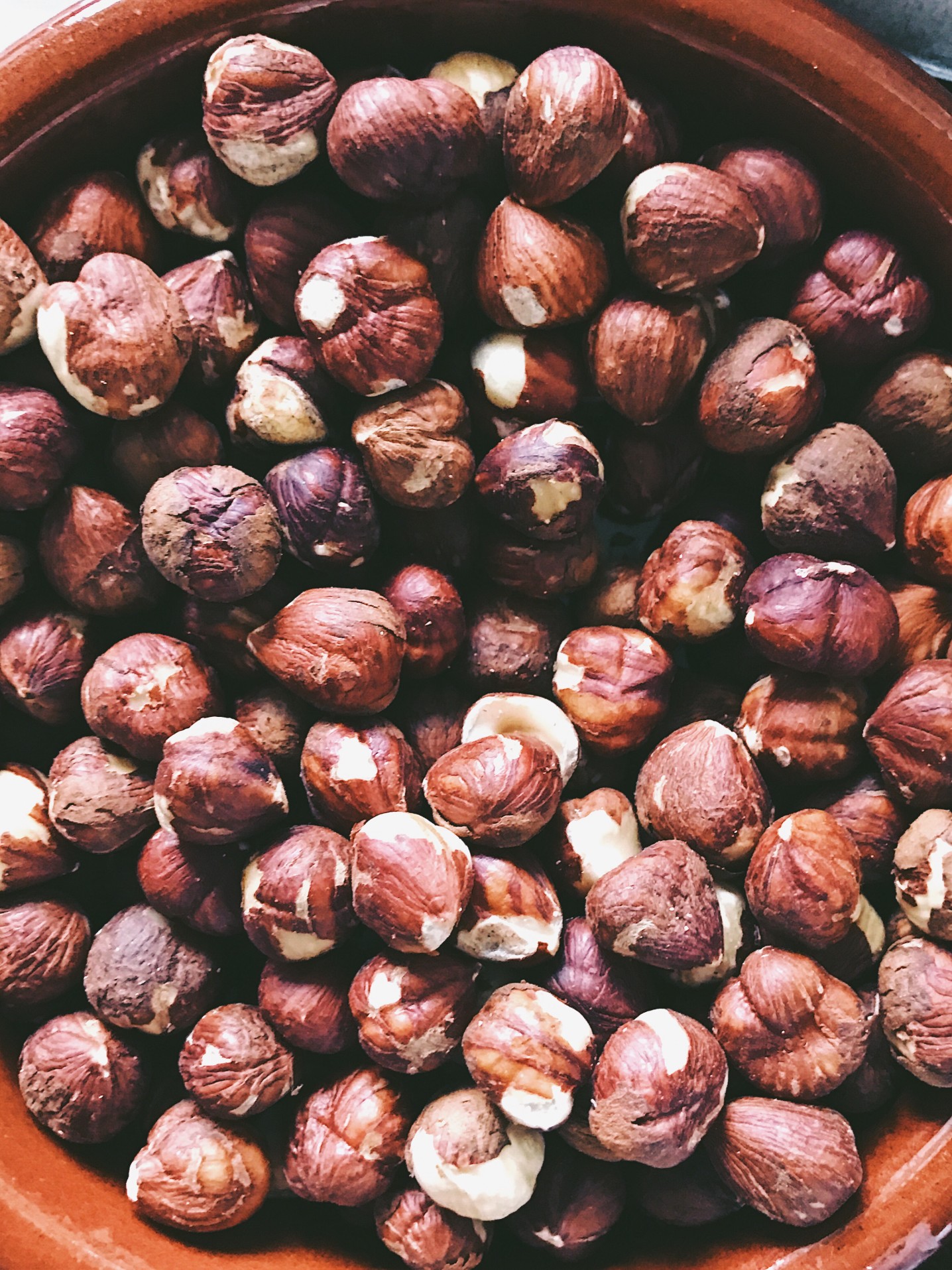 Are Hazelnuts Nuts Bad For Dogs