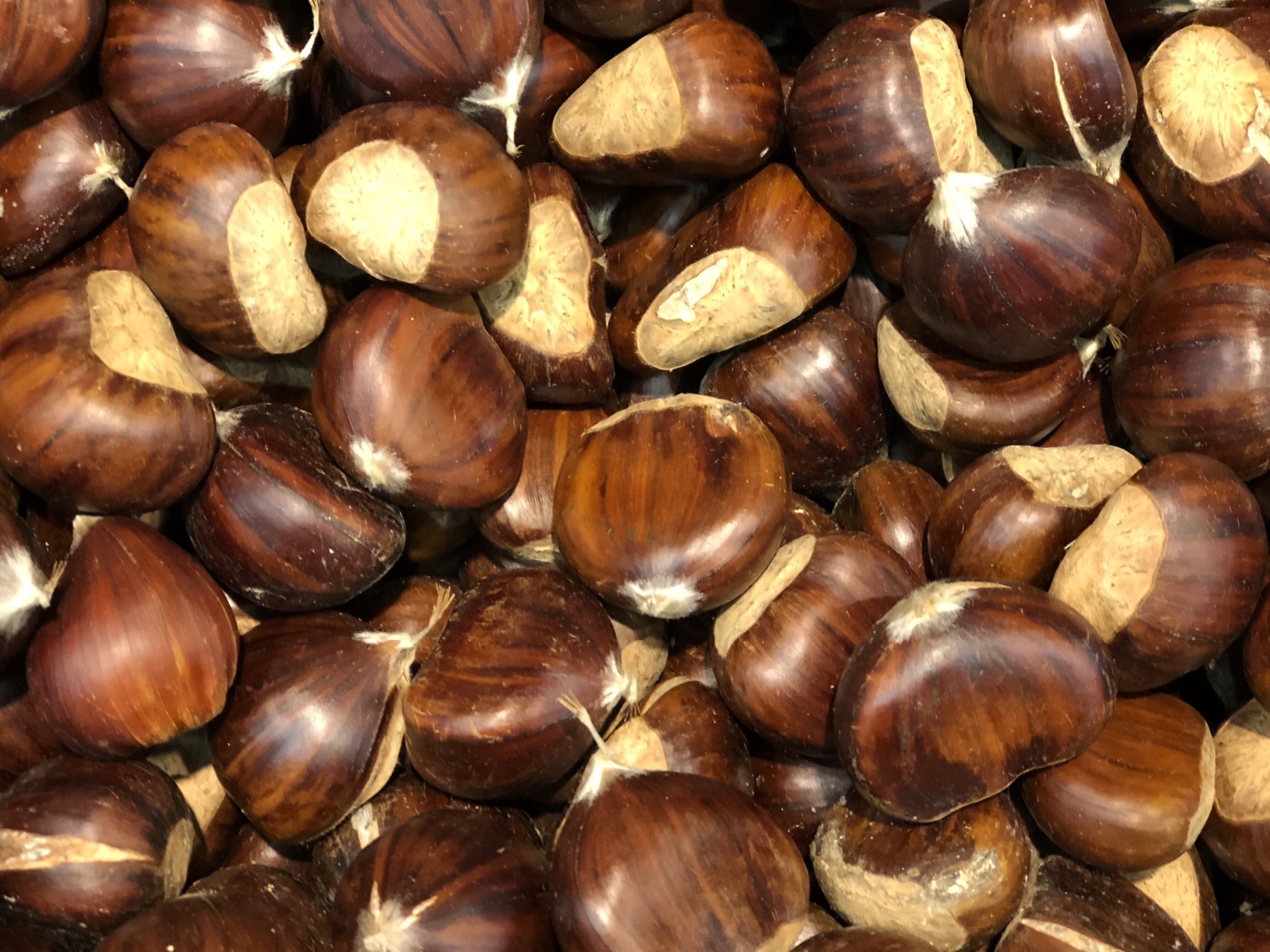Are Chestnuts Safe For Dogs